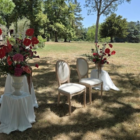 Chaises médaillon
