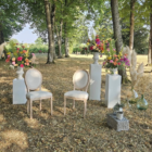 Chaises médaillon et colonnes blanches