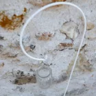 Crochet de berger blanc