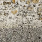 Crochet de berger noir