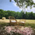 Duo de fauteuils rotin vernis