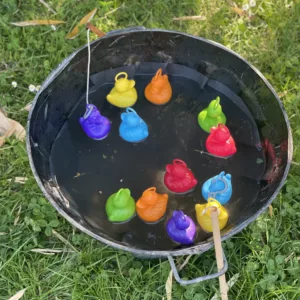Pêche aux canards