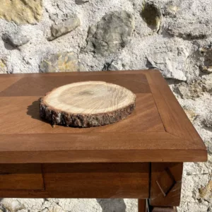 Rondin de bois naturel mousse