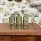 Soliflores vert cylindriques virages