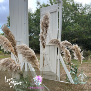 Arches portes blanches collaboration